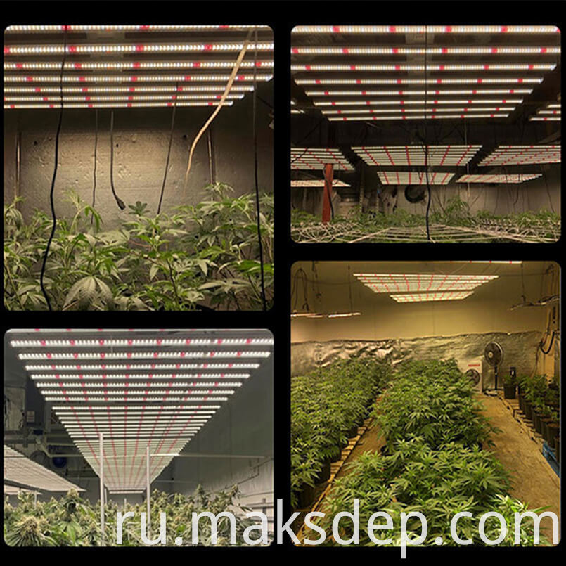 Grow Lights 100w